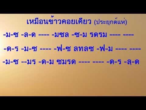 ซาวด์ซ้อมดีดพิณลายเพลงที่นิยมแห่