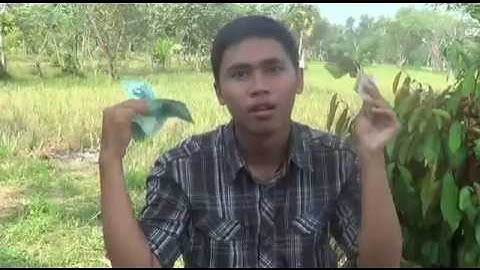 Oplosan Cover Kelompok Cobol Makrab Teknik Informatika UNSOED 2014