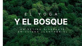 El Yoga y el Bosque. Un retiro diferente en Ucieda ( Cantabria )