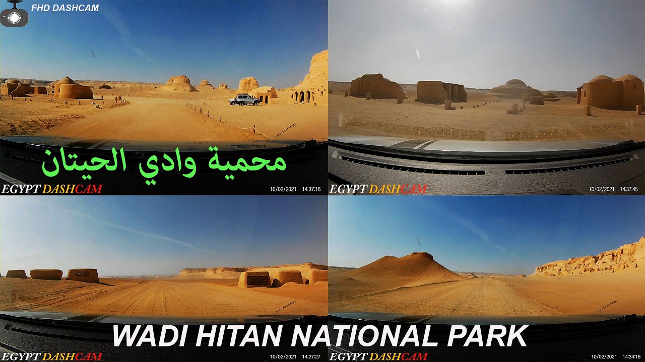 Wadi Hitan National park / محمية وادي الحيتان / FHD Dashcam