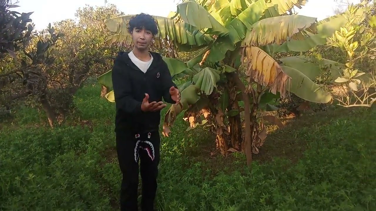 #نصايح الزراعه