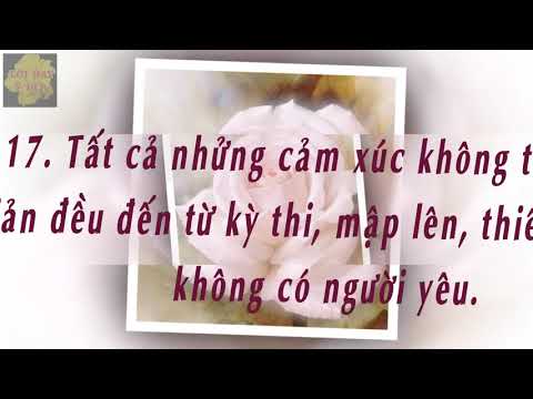 CẢM XÚC LÀ KẺ THÙ SỐ MỘT CỦA THÀNH CÔNG & ĐÂY LÀ LÝ DO TẠI SAO CẦN HỌC ....... video 795