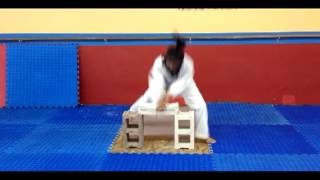 Ms. Imelda- brick break 3rd dan test