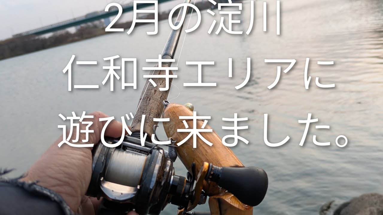 2月の淀川仁和寺エリアに遊びに来ました。。