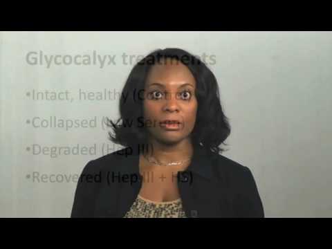 Video: Endotel-glycocalyx I Akut Plejeoperation - Hvad Anæstesiologer Har Brug For At Vide For Klinisk Praksis
