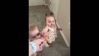 Twin Grabs Cookie Offered to Her Sister - 1432352