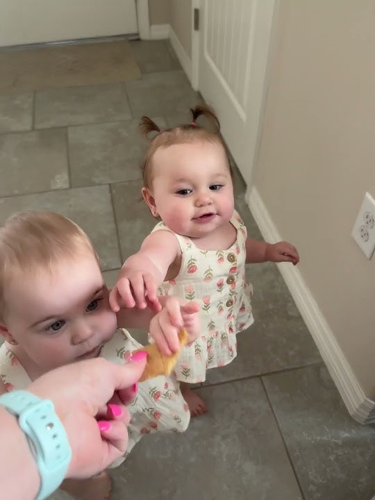 Twin Grabs Cookie Offered to Her Sister - 1432352