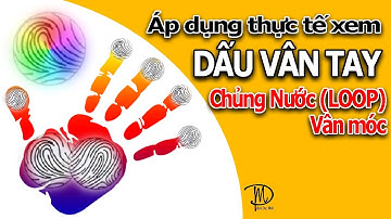 Hướng Dẫn Xem Người Có Dấu Vân Tay Chủng Nước (Loop)_Online Education