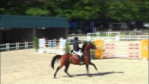 Hope Van Het Krekelhof Cyclus 7 years Gesves May 2014
