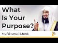 What is your purpose  mufti menk