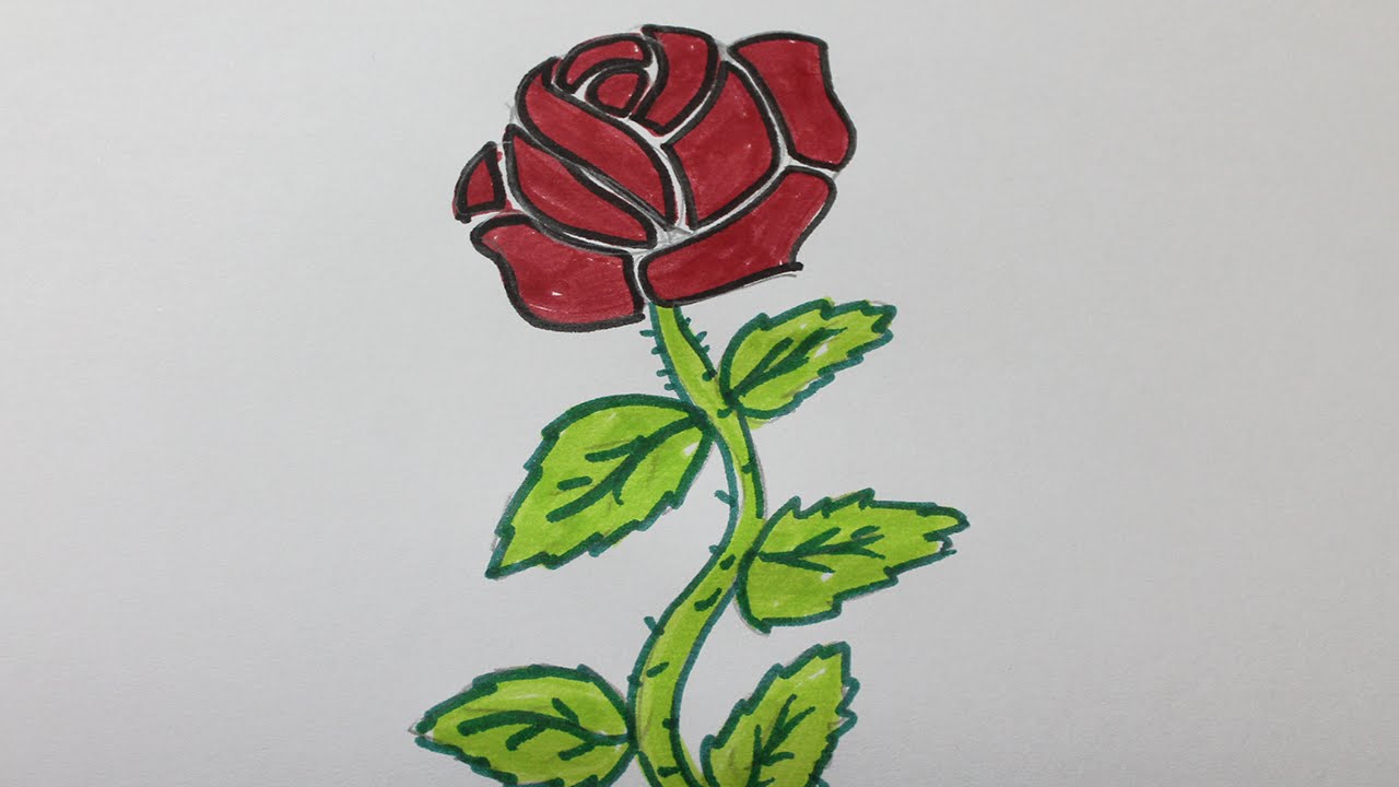 Comment dessiner une rose etape par etape - YouTube