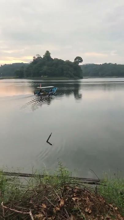 TELOLET BASURI YALAL WATON PERAHU BASURI #basuri #basuri #shorts