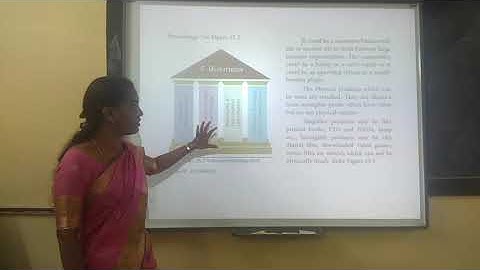 XII Computer Application  - Chapter 15 (Part 01)