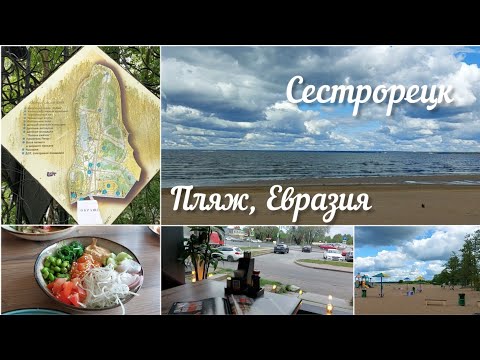 Маленькая поездка в Сестрорецк, пляж Дубки, обед в Евразии ☕️🫖