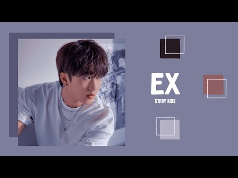 [1시간/ 1 HOUR LOOP] Stray Kids - Ex (미친 놈)