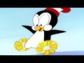 Chilly Willy en Español 🐧Pingüino congelado - Capitulos completos🐧Dibujos Animados