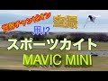 【スポーツカイト空撮】世界チャンピオン/MavicMini/マビックミニ/凧/凧上げ/富士川/静岡/ドローン