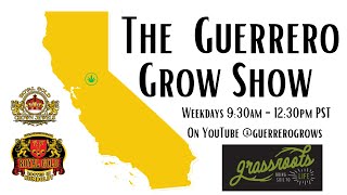 The Guerrero Grow Show!!! Kevin Jodrey?