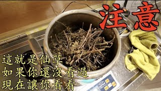 【正當吃貨】敲碗燒仙草差點敲到食物中毒｜正當冰 