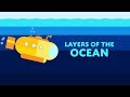 Dive Into Ocean Layers With Pixie