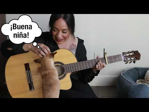 Vidéo: La Chanteuse Mexicaine Carla Morrison, Nouveau Visage De PETA Latino (VIDEO)