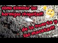 funguicida para repeler o eliminar las hormigas de la casa y la huerta