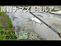 春のナマズ最強ルアー!真っ昼間から水面爆発☆迫力のデーゲームを千葉で遊ぶ