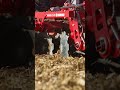 New HORSCH Joker HD