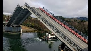 Puente Cau Cau. Cronología 1991 - 2017