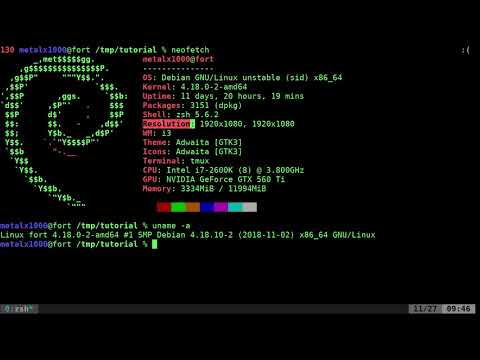 Neofetch Linux Shell Tutorial