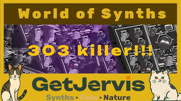 Synth Secrets: Better than a 303! Episode 67 #chat #cat #synth #stylophone #filter #acid #house #67