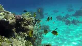 Sharm El-Sheikh, Tiran Island, GoPro, 2014.09.09.