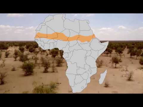 New Desertifikation Sahel Zone