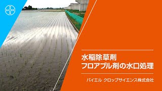 水稲除草剤　フロアブル剤の水口処理