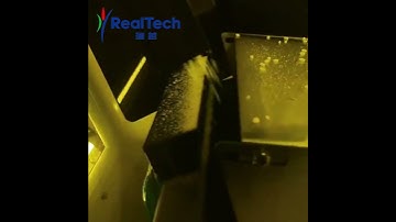 Small Rice Color Sorting Machine-RealTech High Spec. Model S32