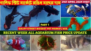 Recent Week All Aquarium Fish Price |সস্তা একুয়ারিয়াম মাছের হাট |Galiff Street Market, W.B.|21/04/24 by AMAR 2020 1,393 views 20 hours ago 13 minutes, 53 seconds