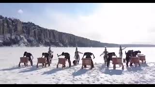 Saha (Yakut) Türkleri̇ Savaş Müziği.tengri̇ (Tanri) Türkü Korusun.🤲 Resimi