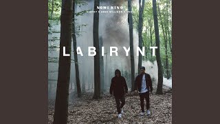 Смотреть клип Labirynt