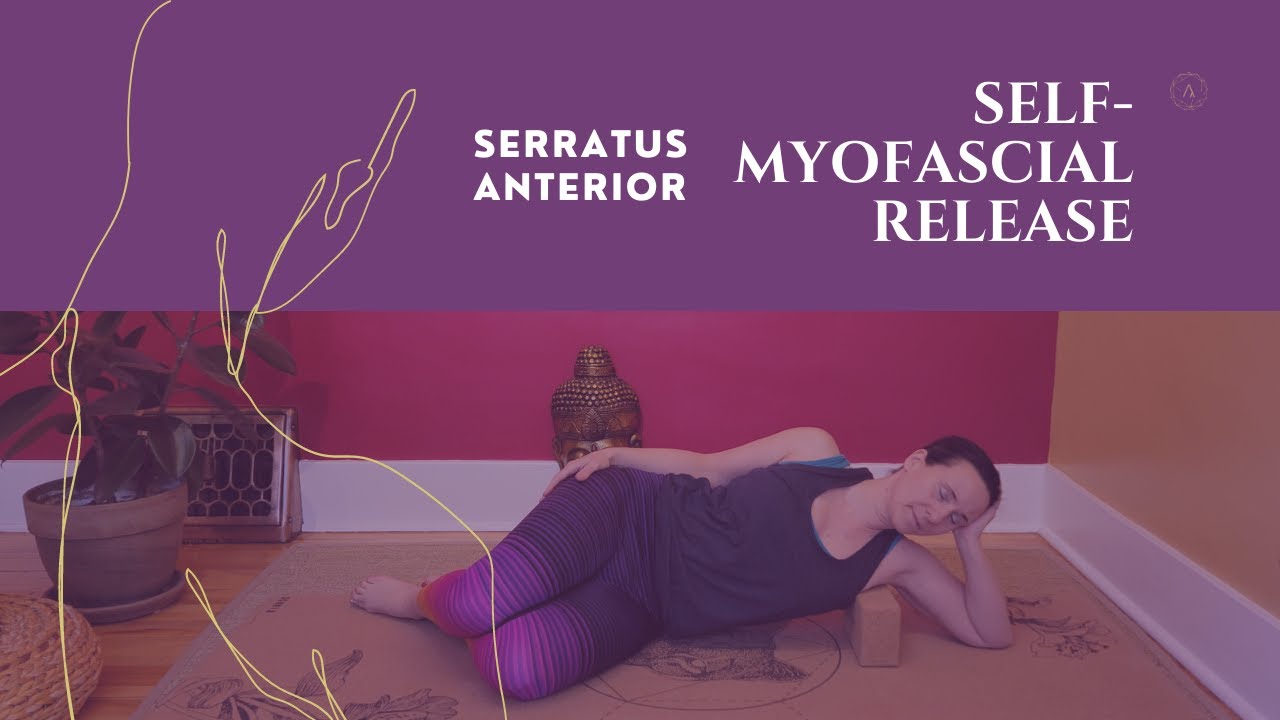 Side Body Myofascial Release - Serratus Anterior 