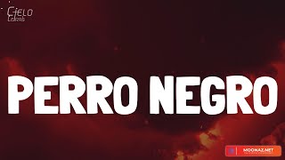 Bad Bunny - PERRO NEGRO (Lyrics/Letra)