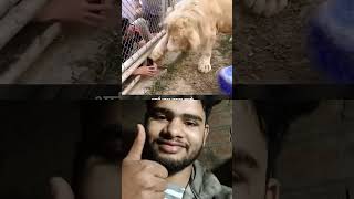 Men Layan And Hend Sekh