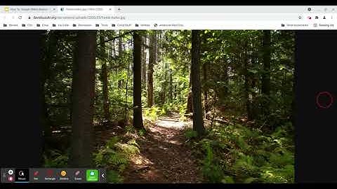 Google Slides: Changing the Background