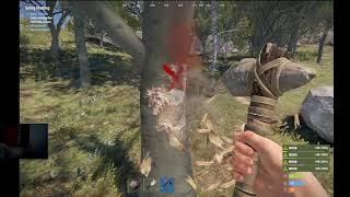 RUST gameplay