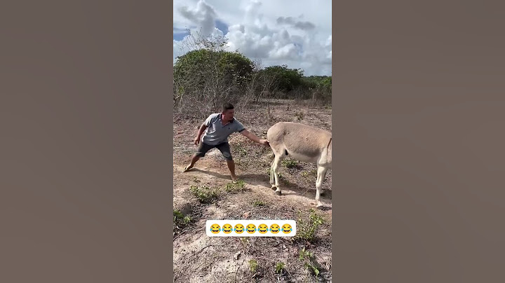 O menino de vó vai deixar vovó (status)