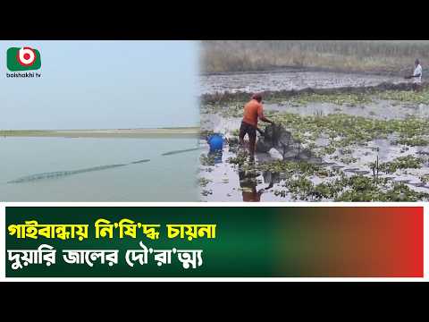 গাইবান্ধায় নি'ষি'দ্ধ চায়না দুয়ারি জালের দৌ'রা'ত্ম্য | Gaibandha | Boishakhi TV News