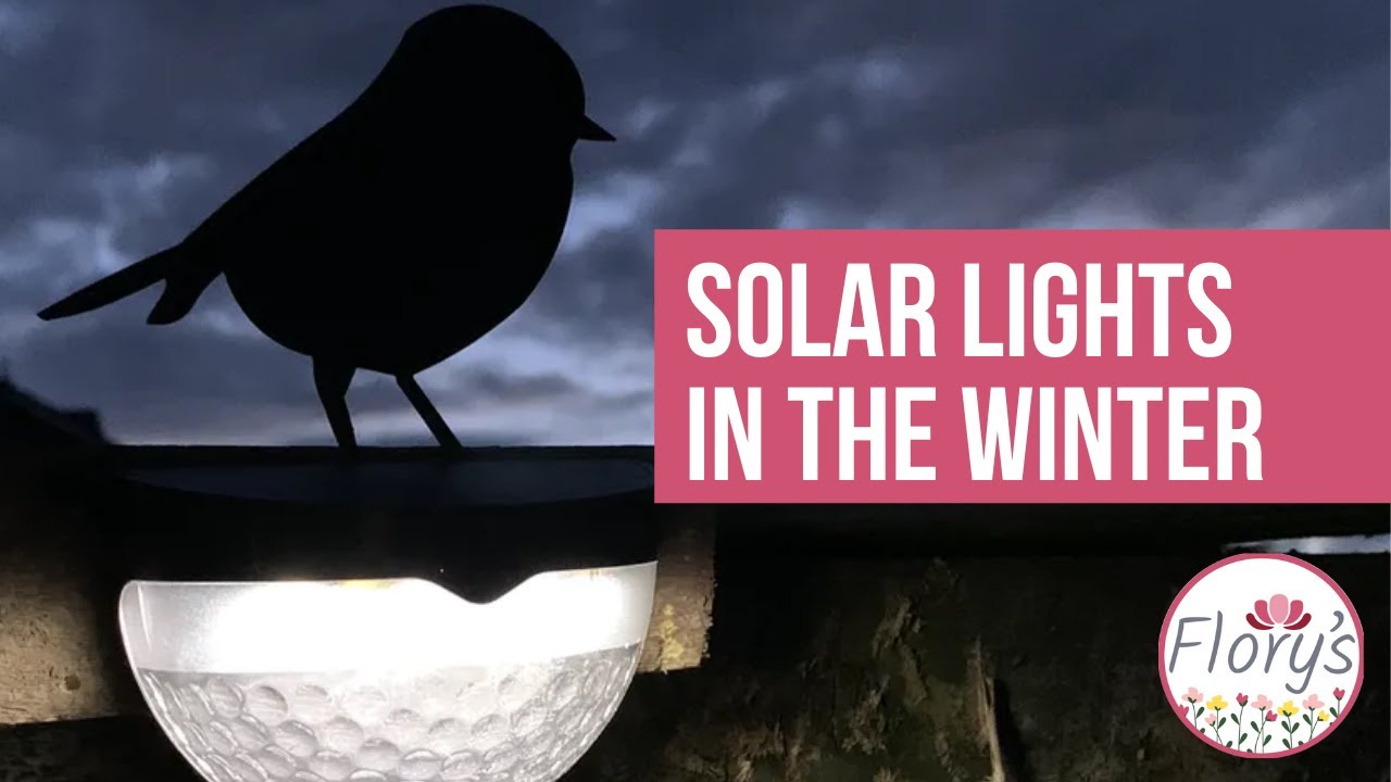 What to expect from your Solar Lights this Winter - Flory's Online ...
