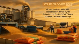 OFSYM - Ofis Yem hissesinin 2025 yılının 12. ayına ait bilanço analizi