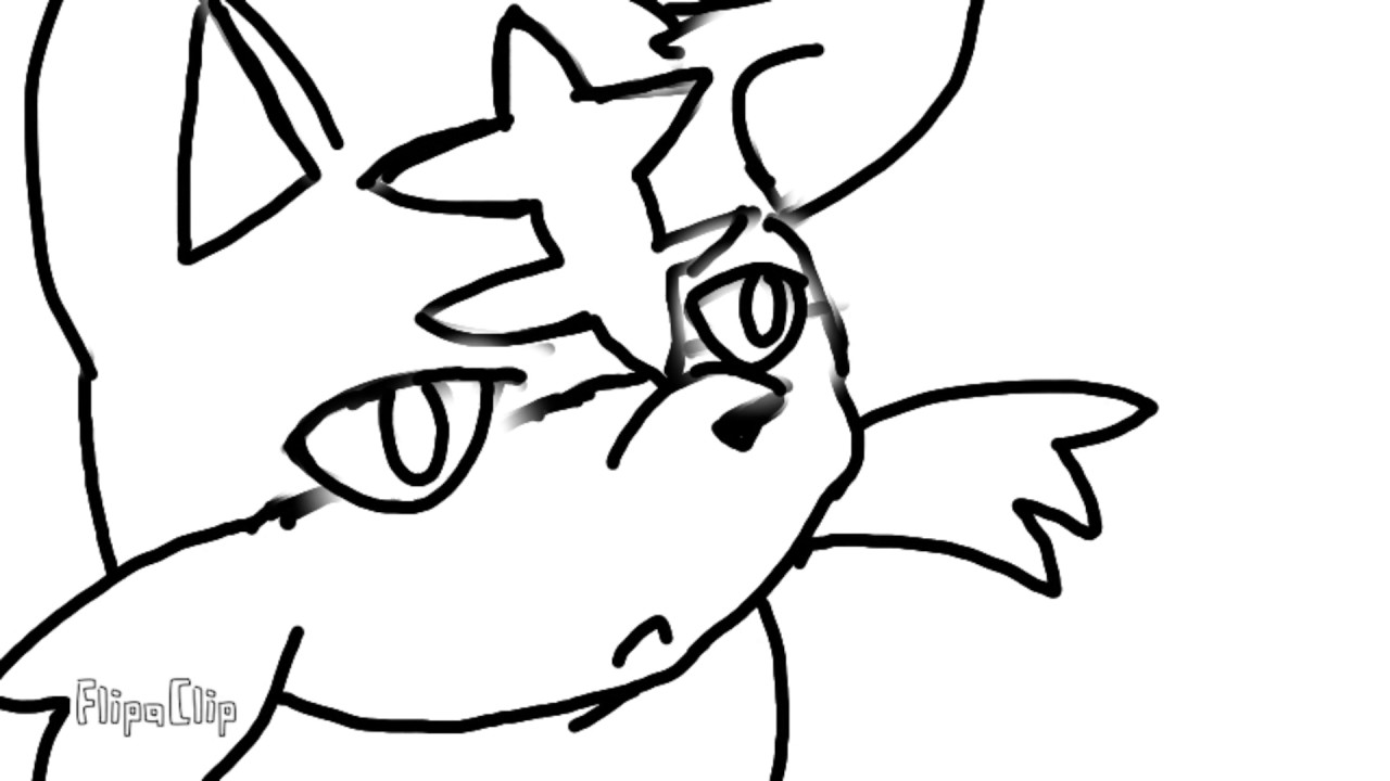 Flamiaou's animation