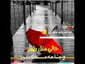 حالات واتس اب حزينه حالي مثل طير وجناحه مكسور حالات واتس اب حزينه حالي مثل طير وجناحه مكسور