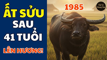 🐂 Ất Sửu 1985: Sau Tuổi 41 Cuộc Đời Lên Hương Vượt Bão Giông Rồi Phúc Lộc Tràn Về #tuvi #phongthuy
